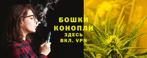 спайс Богородск