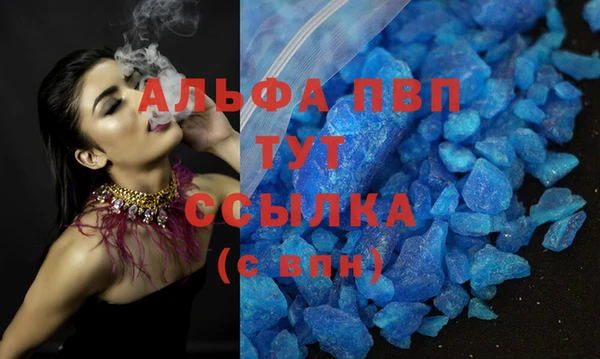 индика Покров