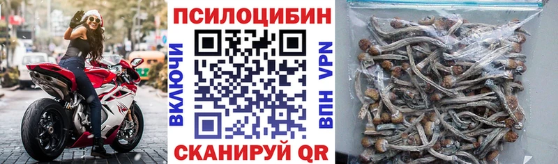 наркота кракен как войти Псилоцибиновые грибы GOLDEN TEACHER Микунь